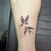 燕　つばめ　足首